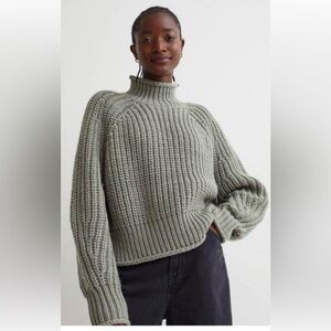 H&M Olive Green Turtleneck Sweater